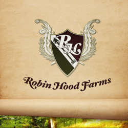 ASO Banner Image_Robin Hood