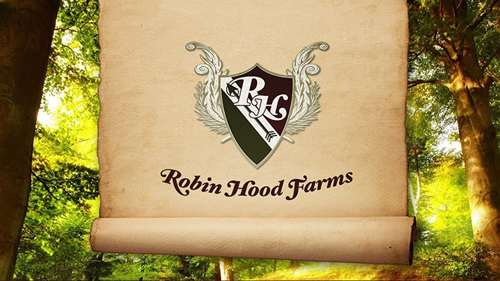 ASO Banner Image_Robin Hood