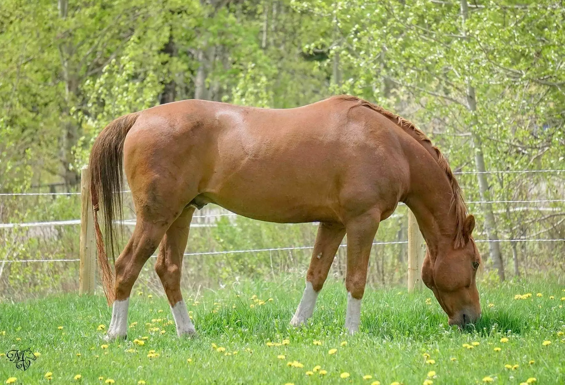 92BF5F48-2502-4205-8B00-71A2F1CBBBB4