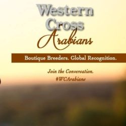 Western-Cross-Ranch-1