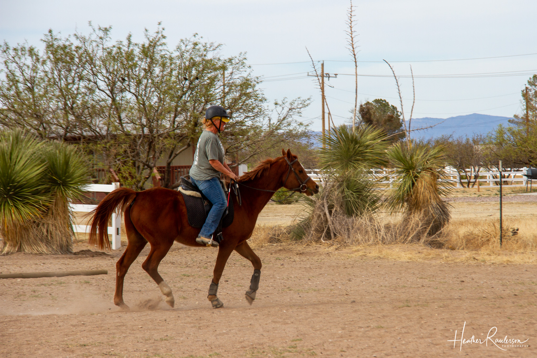 rocky trot