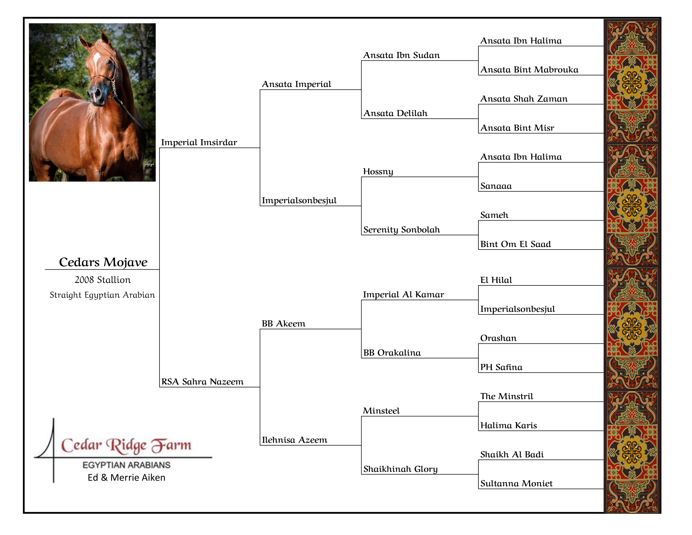 BOARDER Cedars Mojave Pedigree Template-1