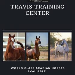 TRAVIS WORLD CLASS AD