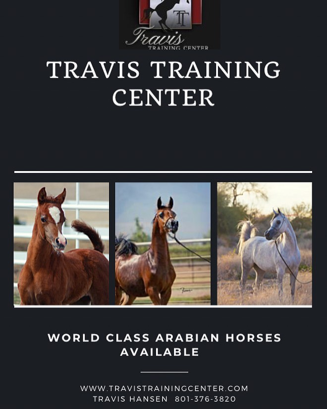 TRAVIS WORLD CLASS AD