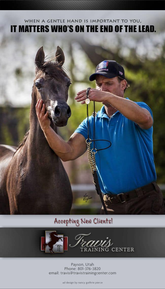 trav end of lead halter ad