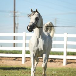 IMG_0089